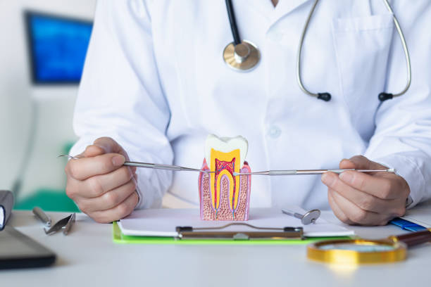 Tooth Infection Emergency Dentist in FL